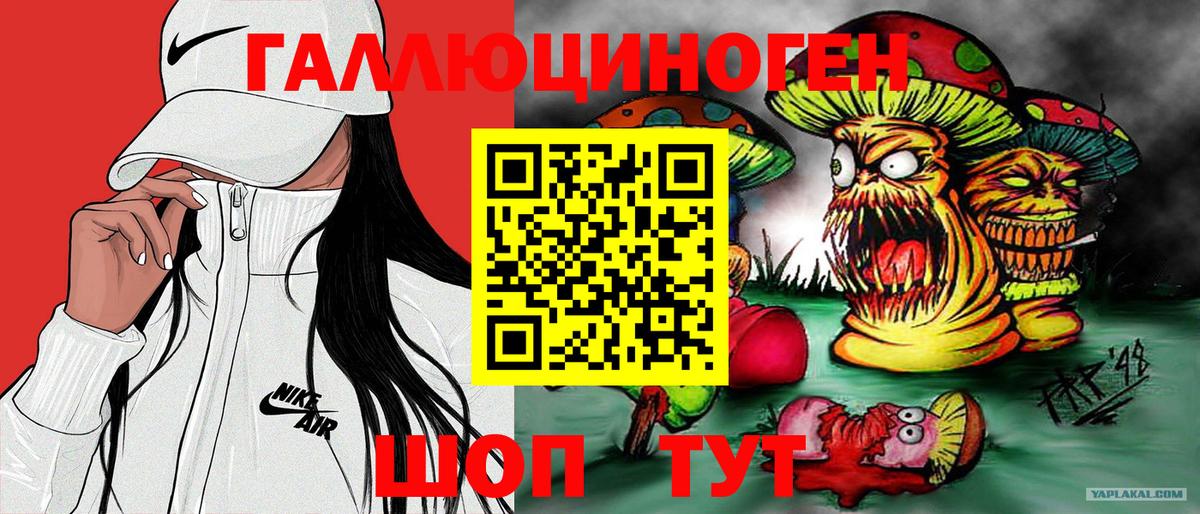 Псилоцибиновые грибы мицелий Шебекино