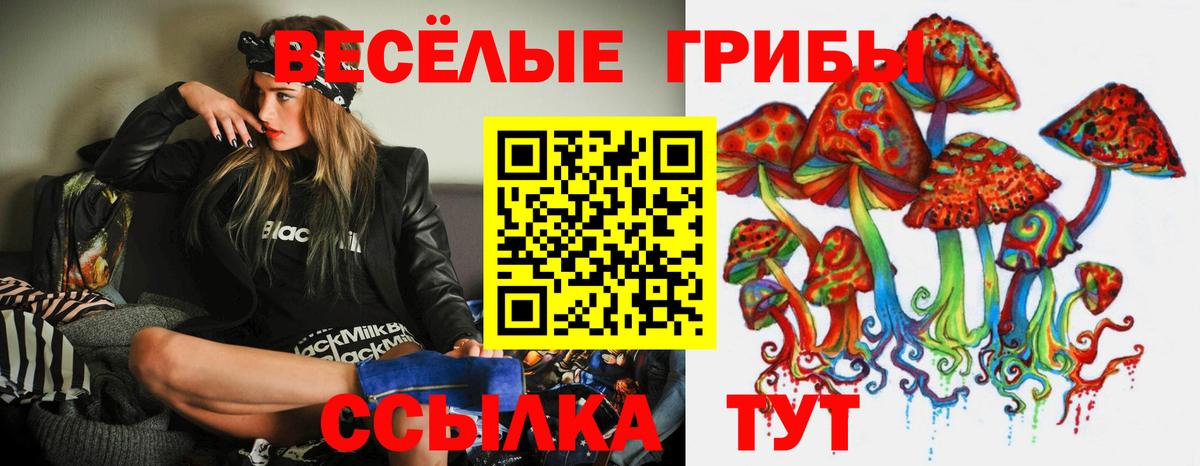 Шебекино  где купить наркотик  Вход с VPN  Галлюциногенные грибы MAGIC MUSHROOMS 